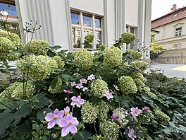 Výjime�ná spolupráce dala vzniknout Zahrad� zrození legendy Járy Cimrmana,...