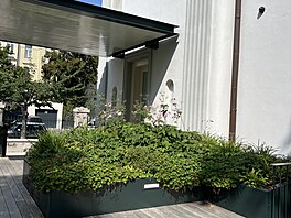 V první fázi práce na projektu Zde�ka Sendlera podle jeho vlastních slov...