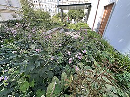 V p�ípad� této ocen�né zahrady klient na po�átku nem�l jasnou p�edstavu, jak by...