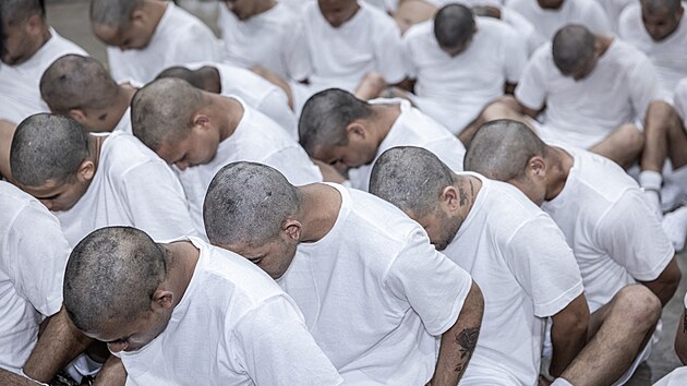 Spojen� st�ty vyhostily p�es dv� st� migrant�, v�t�inou Venezuelan�, do Salvadoru. Ameri�an� tvrd�, �e tito lid� jsou �leny venezuelsk�ho gangu Tren de Aragua. V Salvadoru skon�ili ve v�znici ve m�st� Tecoluca. (16. b�ezna 2025)