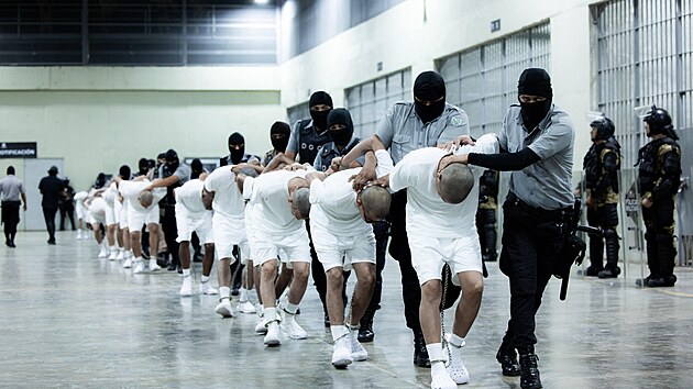 Spojen� st�ty vyhostily p�es dv� st� migrant�, v�t�inou Venezuelan�, do Salvadoru. Ameri�an� tvrd�, �e tito lid� jsou �leny venezuelsk�ho gangu Tren de Aragua. V Salvadoru skon�ili ve v�znici ve m�st� Tecoluca. (16. b�ezna 2025)