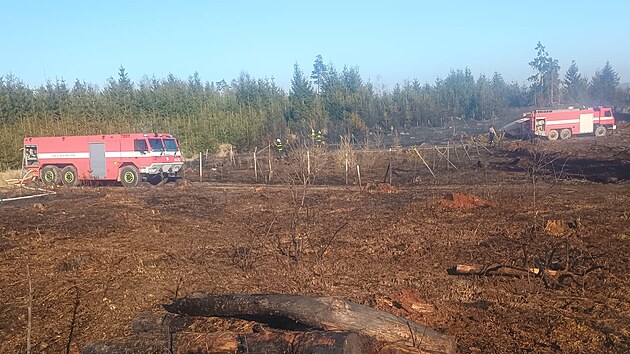 Utekl plen u Budkovic na Jindichohradecku se 21. bezna rozilo na suchou trvu, kov, nzk les a lesn kolku. Por se rychle rozil na plochu zhruba pti hektar.