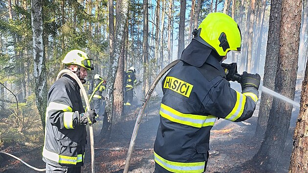 V prvn polovin bezna hoel les u obce Markvarec na Jindichohradecku. Por na ploe 100 krt 50 metr likvidovaly dv profesionln a dv dobrovoln jednotky.
