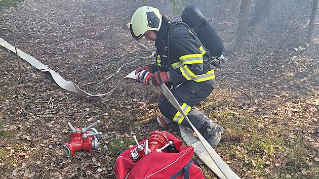 V prvn polovin bezna hoel les u obce Markvarec na Jindichohradecku. Por na ploe 100 krt 50 metr likvidovaly dv profesionln a dv dobrovoln jednotky.