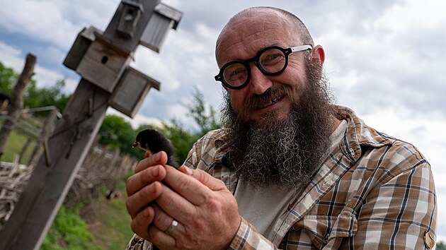 Tom Trejbal rad ochoovat slepiky ideln u od kutka. Pro ta z lhn bv lovk prvnm tvorem, kterho po vylhnut z vajka vid, o to je to jednoudu.