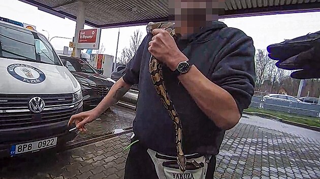 Opilec d�sil lidi a obsluhu �erpac� stanice v Plzni na Karlovarsk� hadem kolem krku. Nav�c byl vulg�rn� a agresivn�. (26. b�ezna 2025)