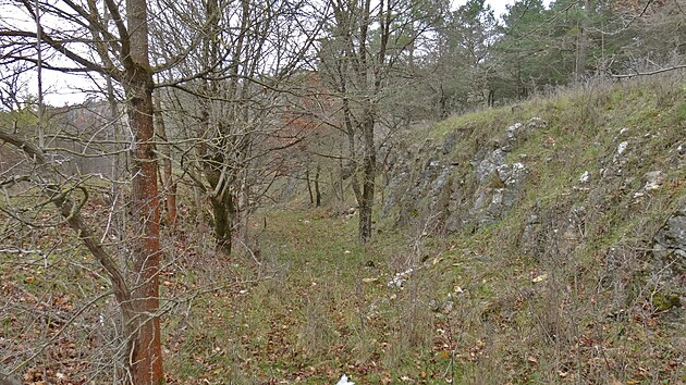 Z��ez mezi b�val�m lomem �abka a Ji�n�m lomem GPS: 49.9133344N, 14.0703558E