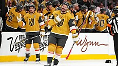 Tomá� Hertl z Vegas se usmívá po svém t�etím gólu do sít� Detroitu.