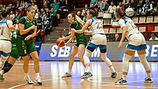 Momentka ze tvrtfinále BL mezi Levharticemi Chomutov a SB Ostrava.