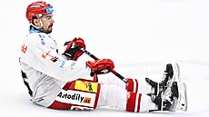 Hradecký Patrik Mi�ká� se raduje z gólu proti Mladé Boleslavi.