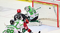 Brankář Dominik Furch z Mladé Boleslavi dostává gól v utkání s Hradcem Králové.