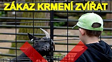 V Zoo Hodonín, která le�í p�ímo na slovenské hranici, te� platí zákaz krmení...
