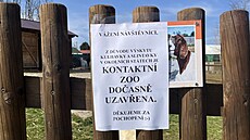 I Zoo Tábor kv�li riziku zavle�ení nákazy slintavkou a kulhavkou zav�ela...