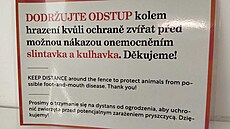 I v ostravské zoologické zahrad� u� n�kolik dní platí kv�li ochran� zví�at p�ed...