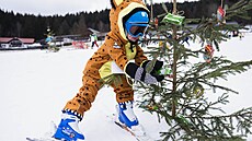 Na sjezdovce Horal ve Velkých Karlovicích vrcholila sezona makarní lyovakou....