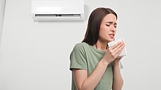 Hrdina v boji proti alergiím na jedenáct? Klimatizace!