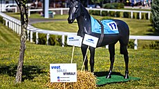 HIPODROM MOST chystá pro leto�ní sezonu �adu novinek