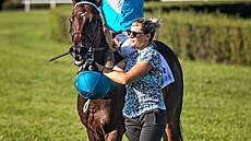 HIPODROM MOST chystá pro leto�ní sezonu �adu novinek