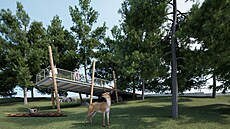 Brn�nská zoo bude mít novou expozici v p�írod� vyhynulého jelena milu