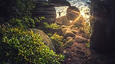 Kamenná brána v Broumovských st�nách