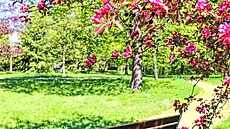 Jarní pohoda v parku v Ronov pod Radhotm