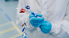 �eský Teleflex: Symbióza kvality a týmové spolupráce