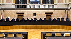 Ústavní soud vyhlásí rozhodnutí o stínosti dívky,  kterou opakovan...