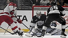David Rittich v brán Los Angeles Kings pozorn sleduje puk, který k nmu...