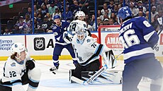 Karel Vejmelka v akci b�hem utkání s Tampou.