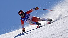 Lo&#239;c Meillard si v Sun Valley dojel pro první místo v obím slalomu.