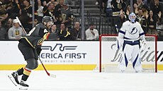 Tomá� Hertl slaví branku.