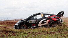 Elfyn Evans b�hem Safari rallye v Keni.