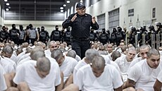 Spojené státy vyhostily p�es dv� st� migrant�, v�t�inou Venezuelan�, do...