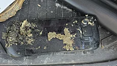 Steam Deck zázra�n� p�e�il po�ár domu