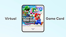 Nintendo Switch - Virtual Game Cards