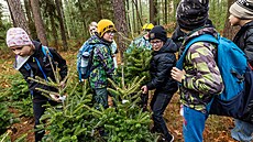 Dti z hradeckých kol vrací vánoní stromky zpt do lesa.