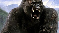 Peter Jackson�s King Kong