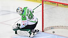 Branká Mladé Boleslavi Dominik Furch inkasuje branku v utkání s Hradcem...