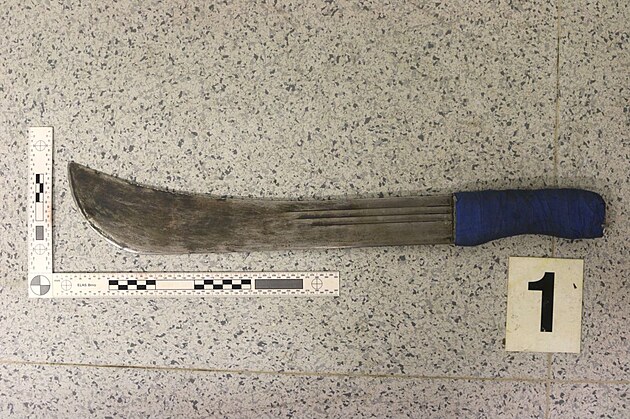 Policisté zadreli agresora, který v Boskovicích z malicherného dvodu...