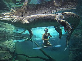 Chcete p�i plavání pohlédnout do zubaté tlamy krokodýla? Pak se musíte vydat do...
