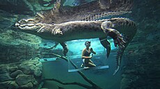 Chcete p�i plavání pohlédnout do zubaté tlamy krokodýla? Pak se musíte vydat do...