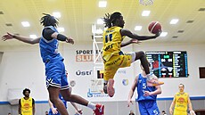 Lesley Varner proniká pod ko USK, vlevo Jaden Campbell.