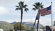 Palmy patí k Los Angeles stejn jako ikonický nápis Hollywood. Rostlinám nyní...
