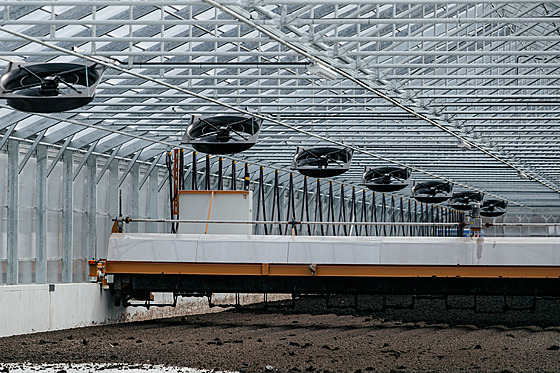 Dv� odv�trávané haly solární su�árny kal� vyrostly na periferii m�sta Litovel v...