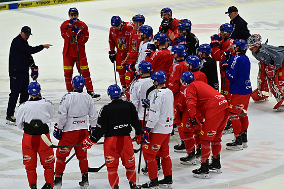 �e�tí hokejisté na tréninku v Karlových Varech.