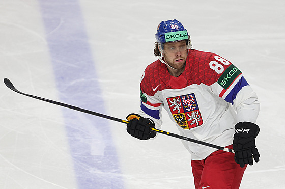 David Pastr�ák v utkání proti Kanad�.