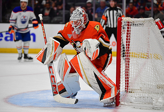 Luká Dostál v brán Anaheim Ducks