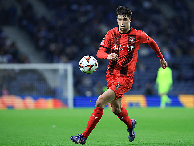 Žabí záchranář Gabriel: Fotbal není jen kulička a tráva. Chtěl by budovat rezervaci