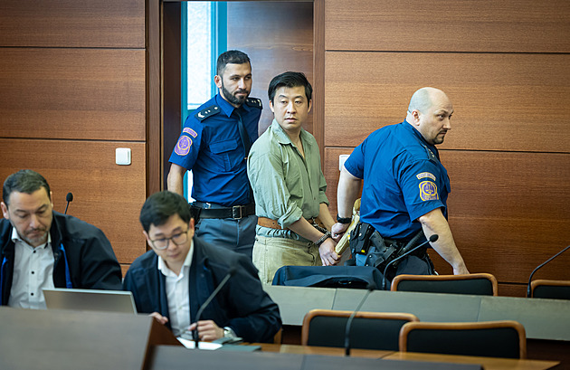 Vietnamce soudí za napadení těhotné ženy sekáčkem. S manželem mě okrádali, tvrdí