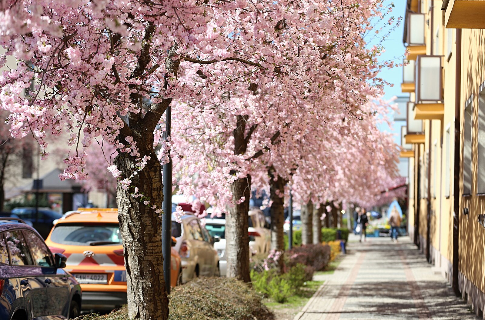 Studená fronta bez deště. Česko čeká slunečný a postupně teplejší týden